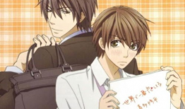 世界第一初恋动漫,跨越时空的甜蜜邂逅